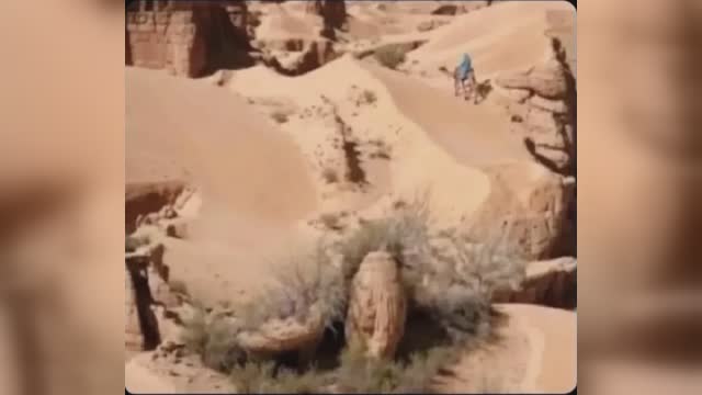 Desert scene